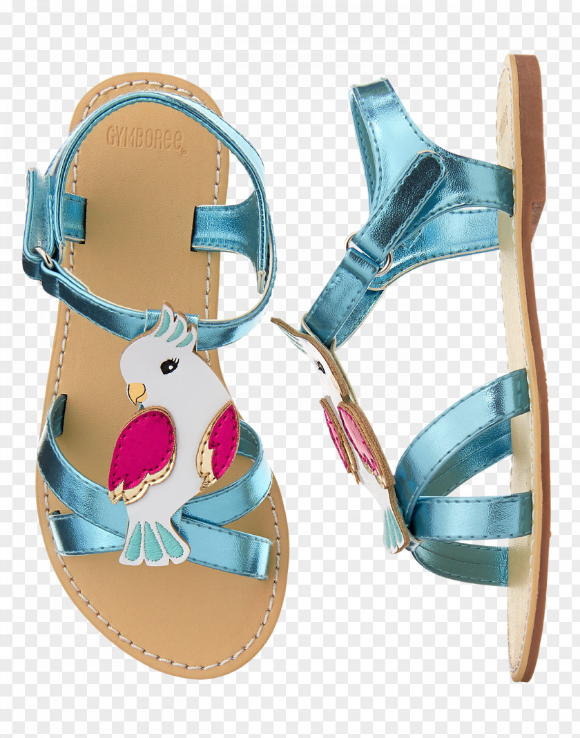 Cockatoo Water Shoe Sandal Footwear Flip-flops PNG