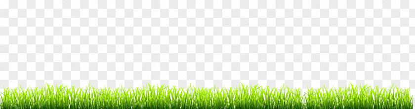 Computer Lawn Desktop Wallpaper Grassland Grasses PNG