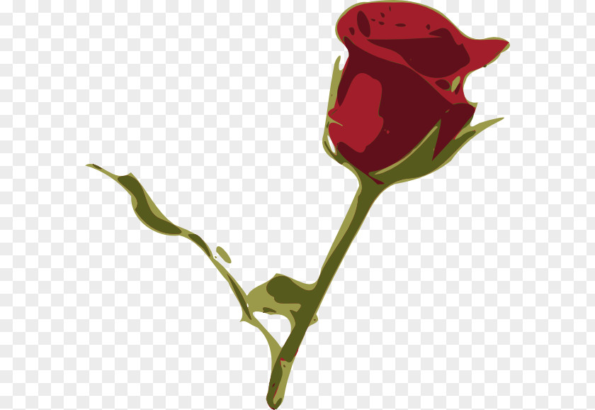 Dahlia/ Garden Roses Petal Flower Clip Art PNG