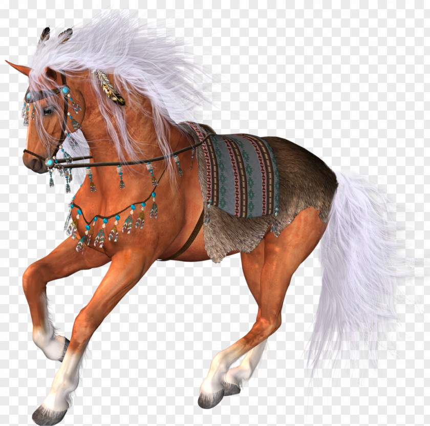 Horse Clip Art Image PNG