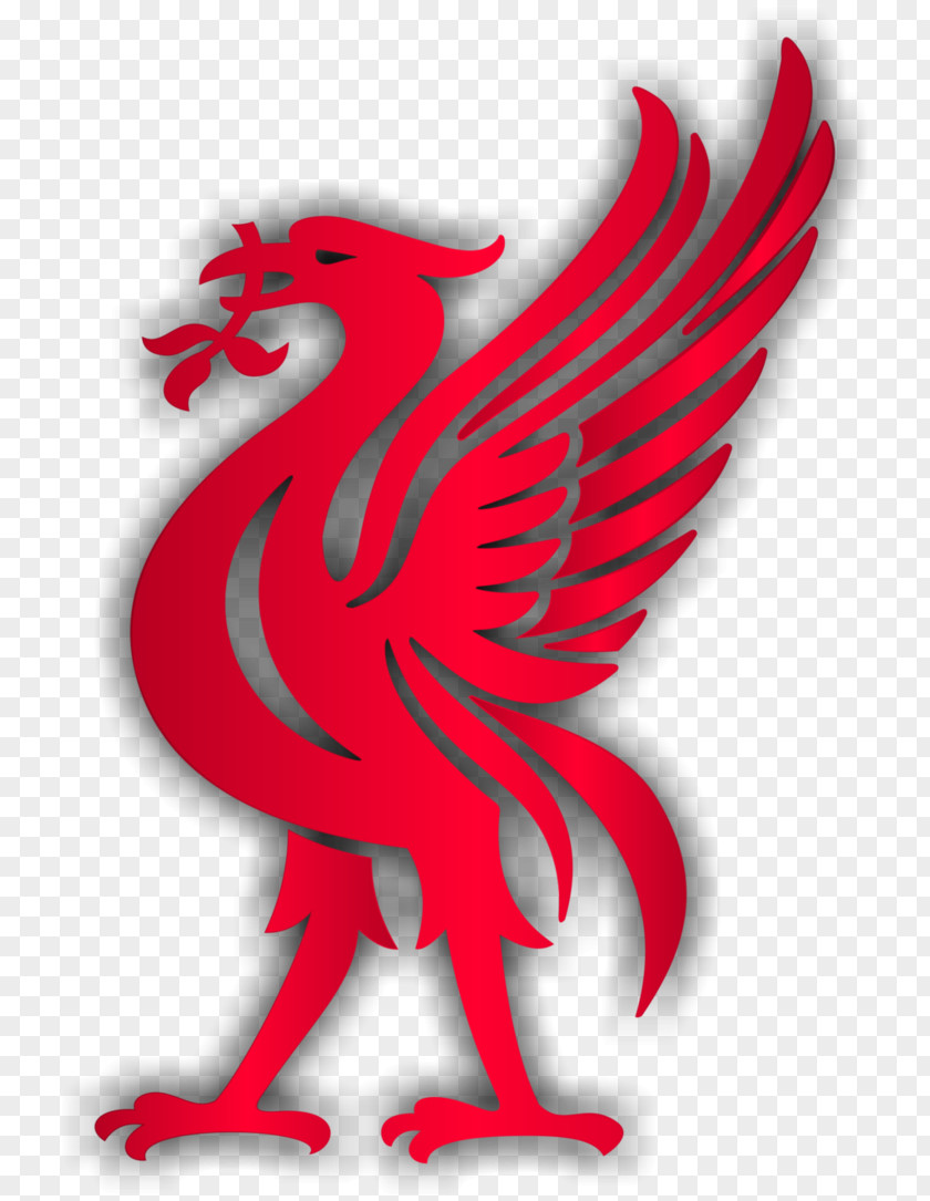 Macaw Liverpool F.C. Liver Bird Premier League PNG