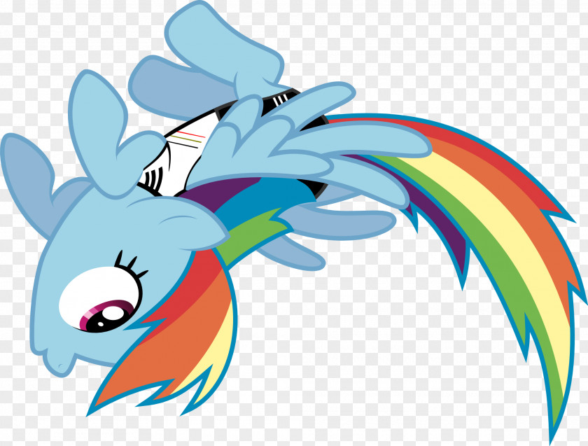 My Little Pony Rainbow Dash Derpy Hooves PNG
