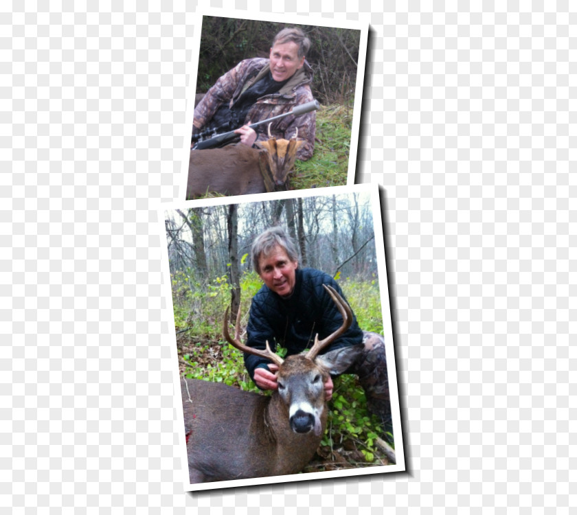 Outdoor Tourism Reindeer Deer Hunting Wildlife Biologist PNG