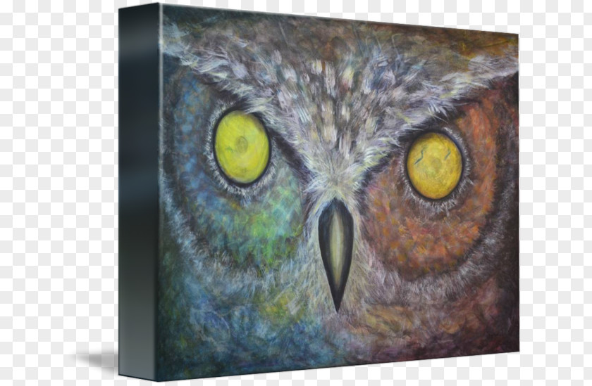 Pearl Jam Vs Artwork Owl Fauna PNG