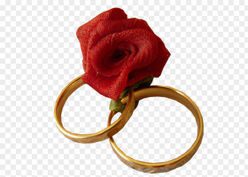 Ring Wedding Garden Roses PNG