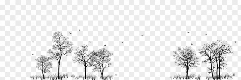 Winter Tree PNG tree clipart PNG
