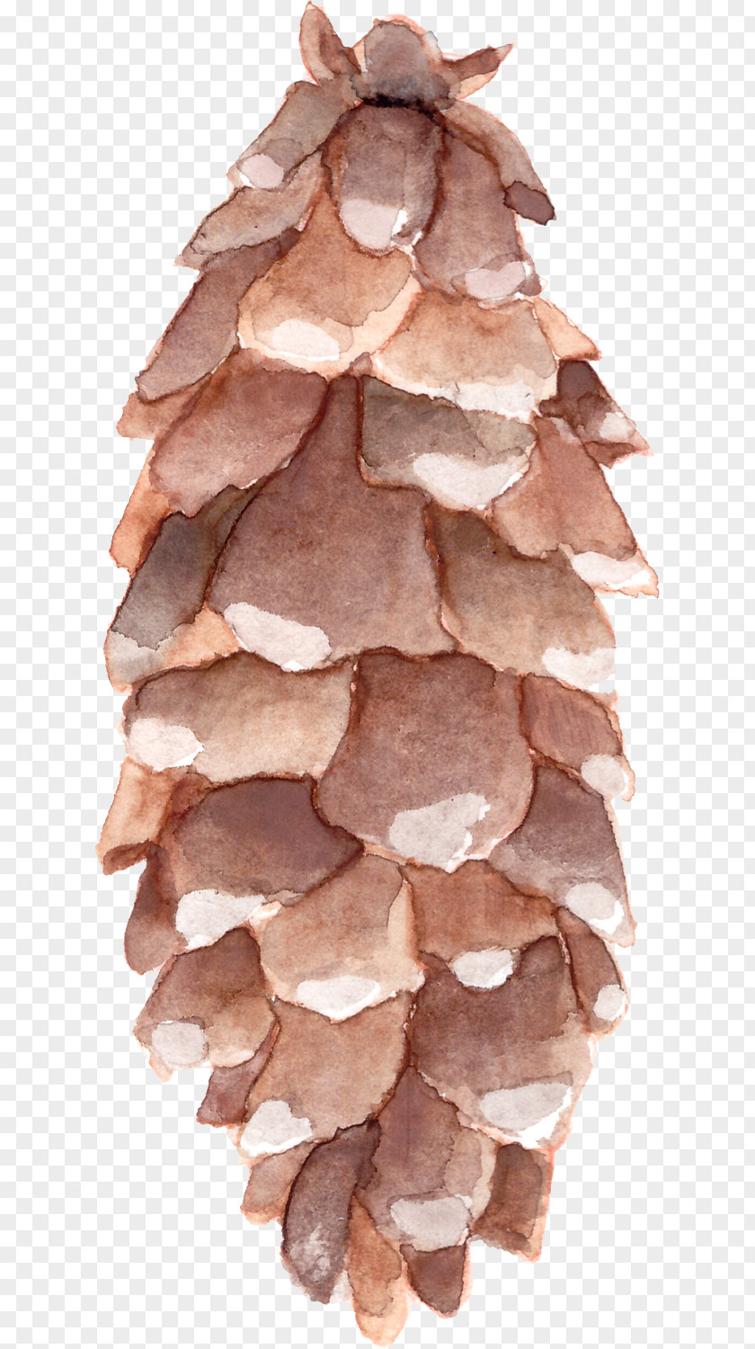 Drawing Cones Watercolor Painting PNG