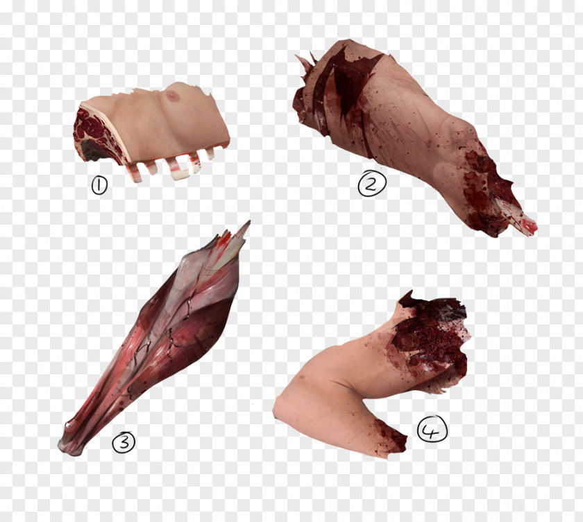 Human Face Pig's Ear PNG