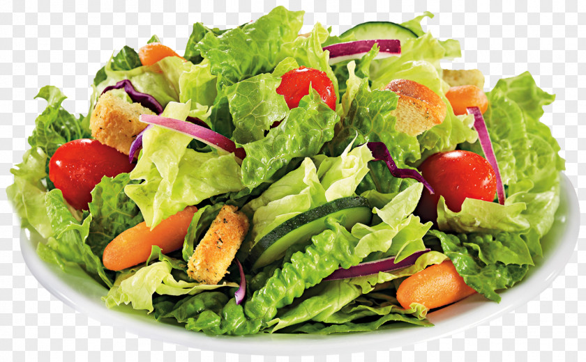 Lettuce Caesar Salad Chicken Sandwich Chef Tuna Italian Cuisine PNG