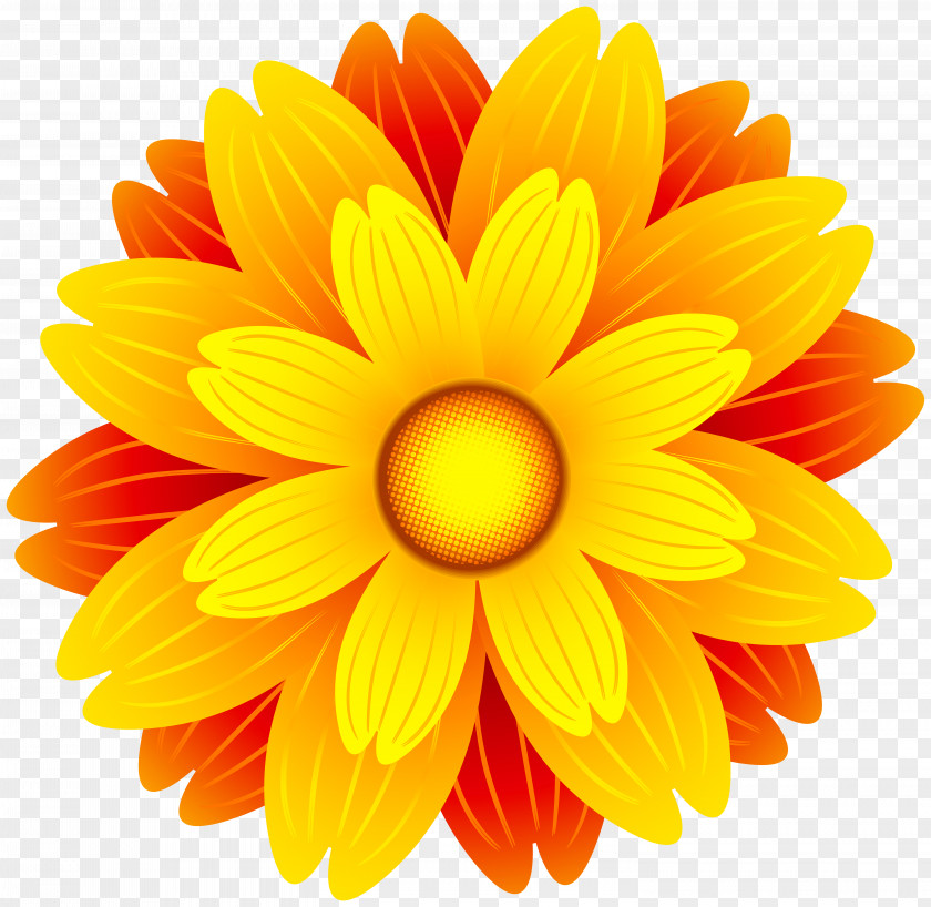 Marigold Flower Orange Clip Art PNG
