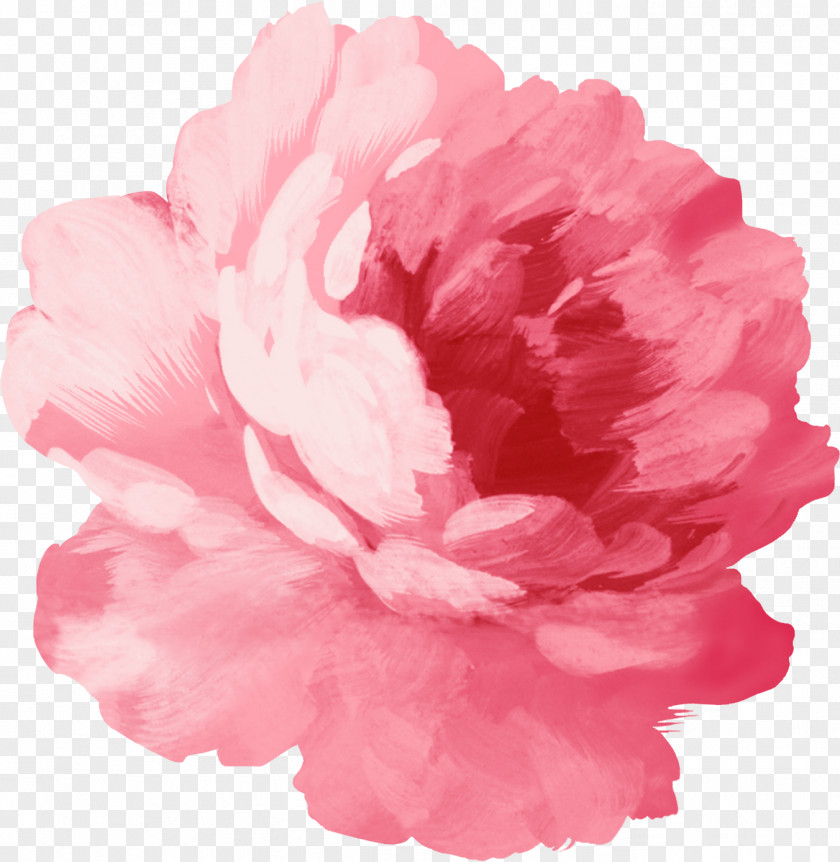 Peony Sticker Pink Flowers Wall Decal PNG