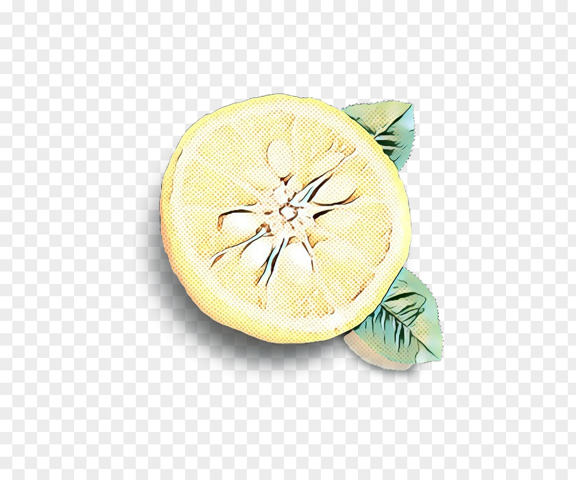 Pomelo Fashion Accessory Lemon Cartoon PNG