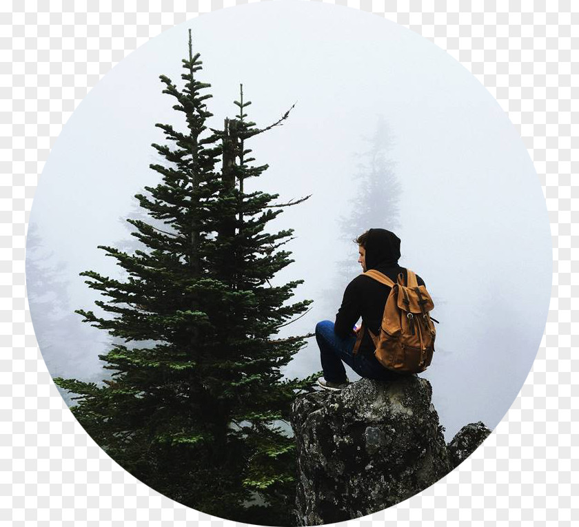 Tree Life Backpack Quotation PNG