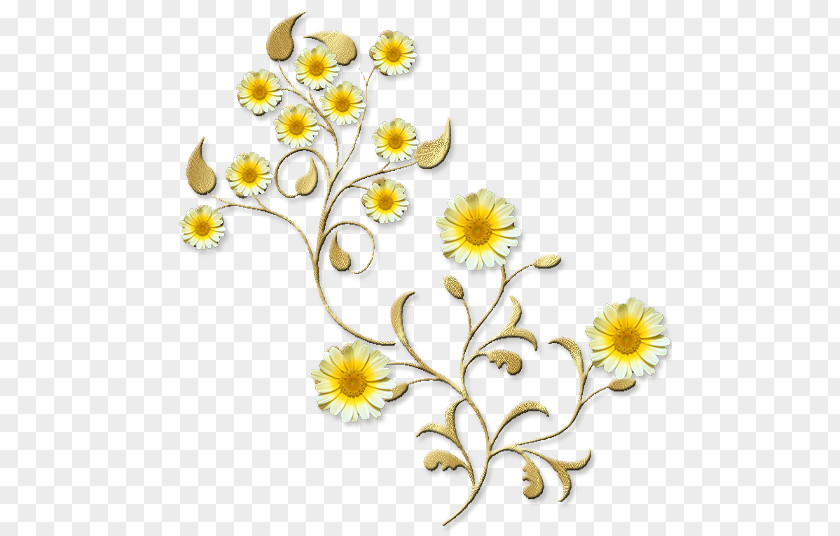 Tv Media Cut Flowers Floral Design Ornament Floristry PNG