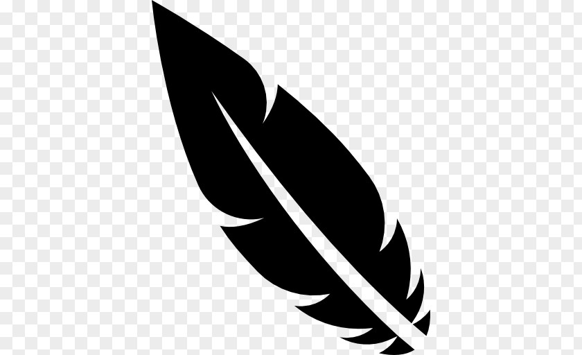 Black Feather Download Bird PNG