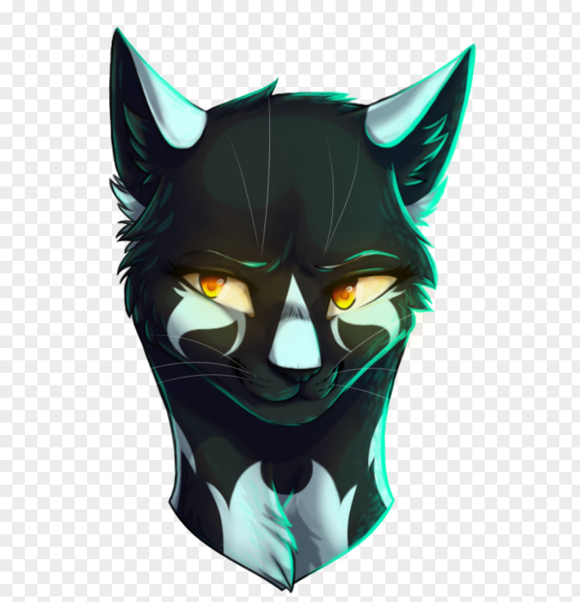 Cat Whiskers Black Warriors Drawing PNG