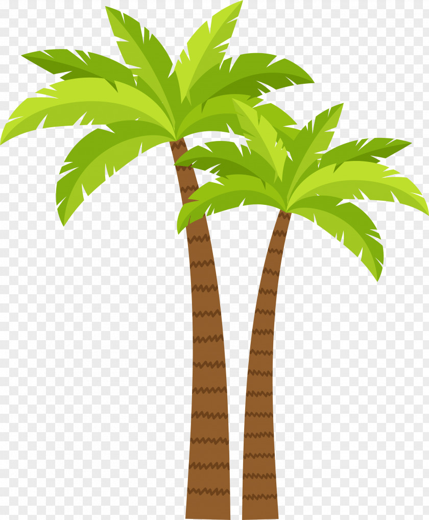 Coconut Tree Decoration Pattern Arecaceae PNG