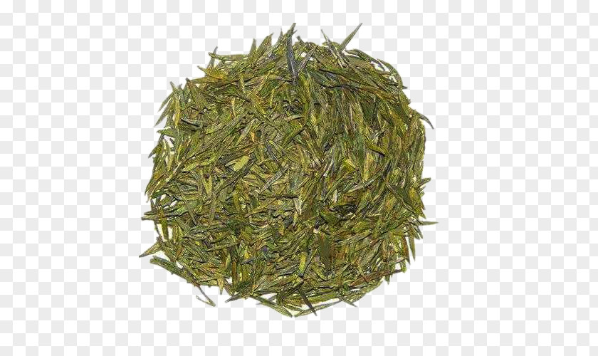 Imperial Tea Leaves Picture Material Longjing Dongting Lake Junshan Yinzhen Green PNG