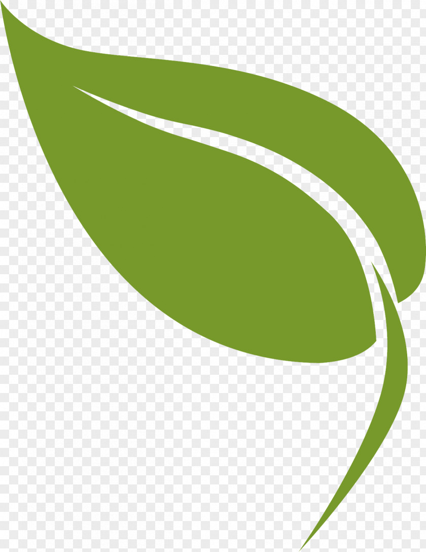 Plant Logo Green Leaf Line PNG