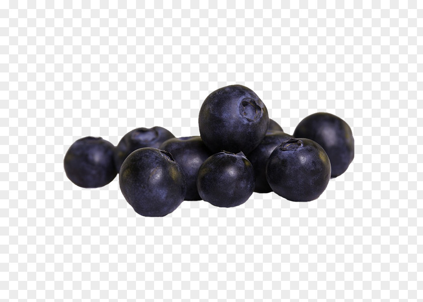 Blueberry Polyphenol Superfood Health Nutrient PNG