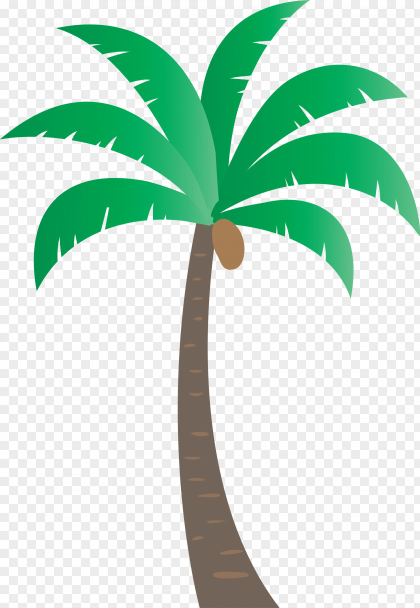 Palm Trees PNG