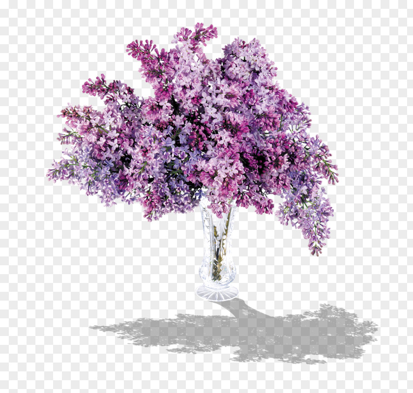 Parterre Lilac Lavender Clip Art PNG