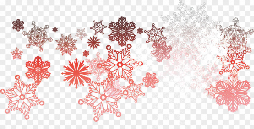 Snowflake Winter Vector Snow Computer File PNG
