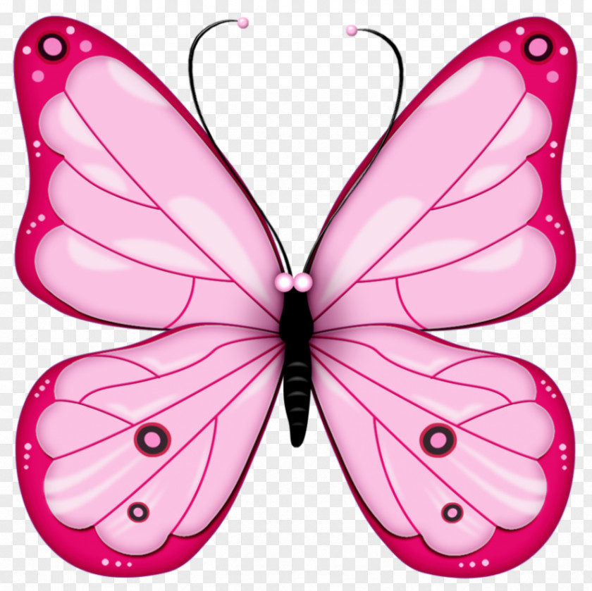 Transformation Cliparts Butterfly Free Clip Art PNG