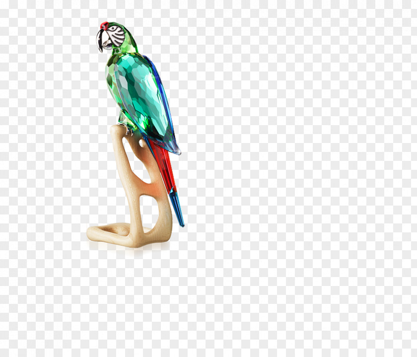 Bird Lovebird Swarovski AG Macaw PNG