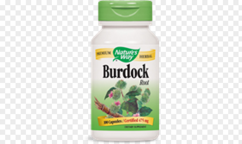 BURDOCK Dietary Supplement Greater Burdock Nutrient Herb Root PNG