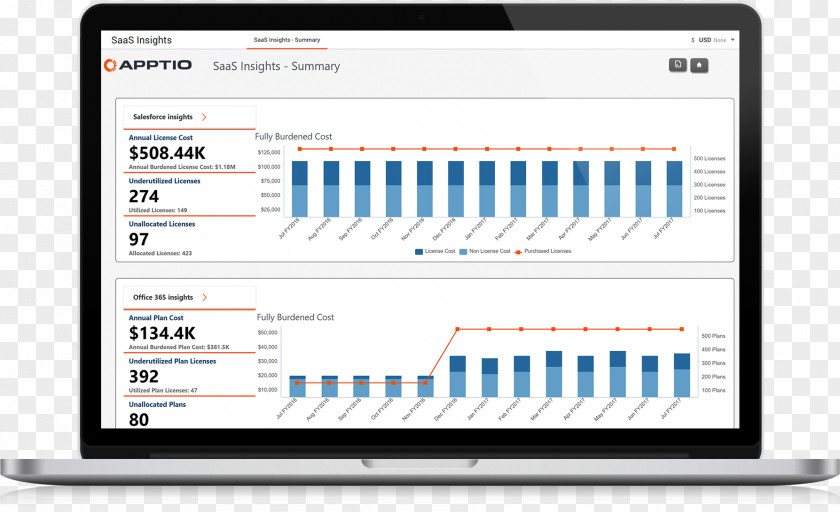 Crack Down On Illegal Business Operations Apptio Template Computer Software Screenshot PNG