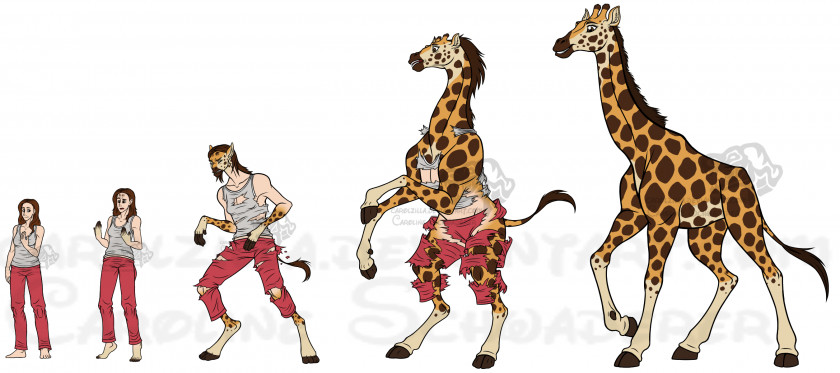 Giraffe Cheetah Animal DeviantArt PNG