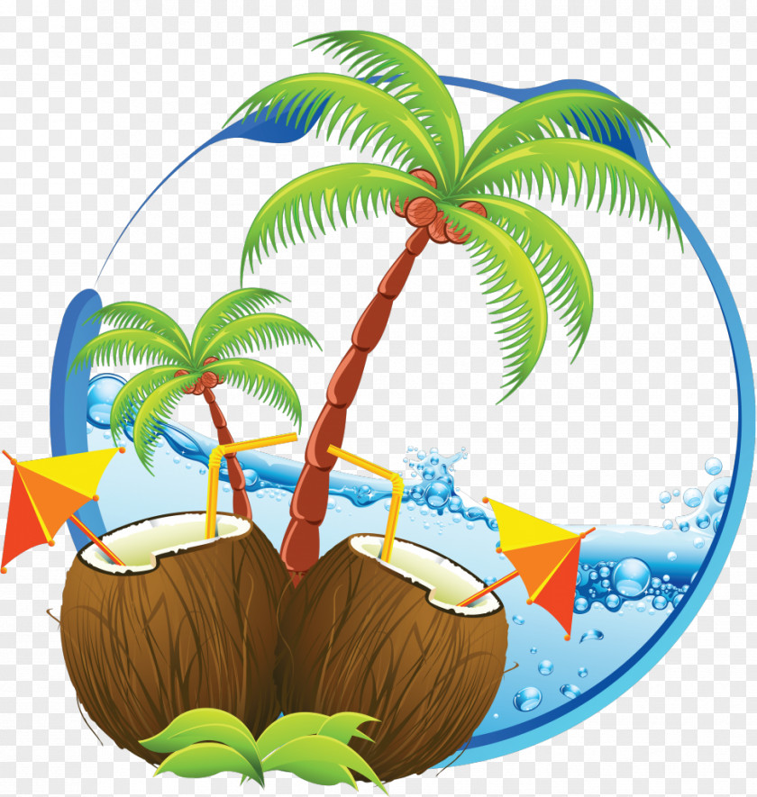 Organism Palm Tree Vacation PNG