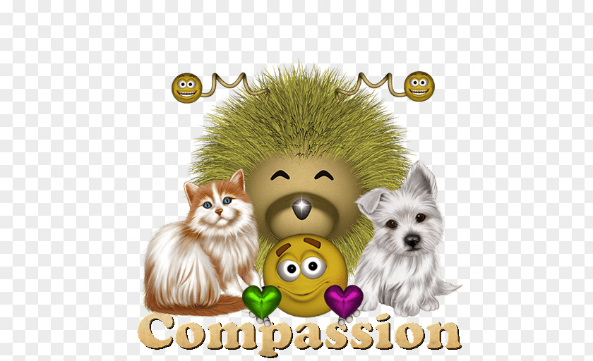 Puppy Whiskers Emotion Mood Pomeranian PNG