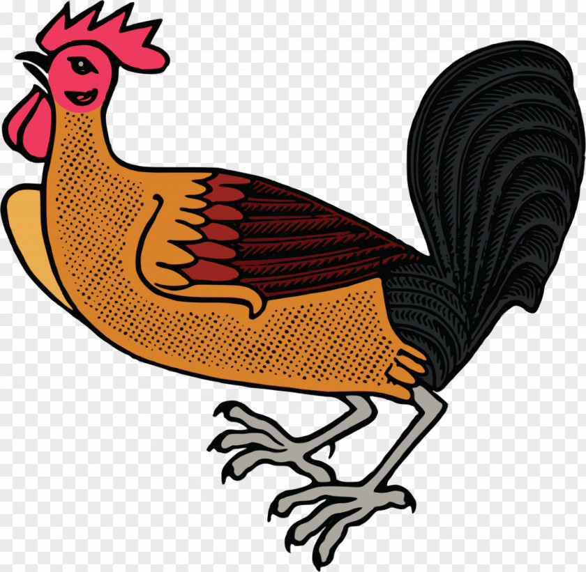Rooster Wyandotte Chicken Leghorn Red Shaver Clip Art PNG