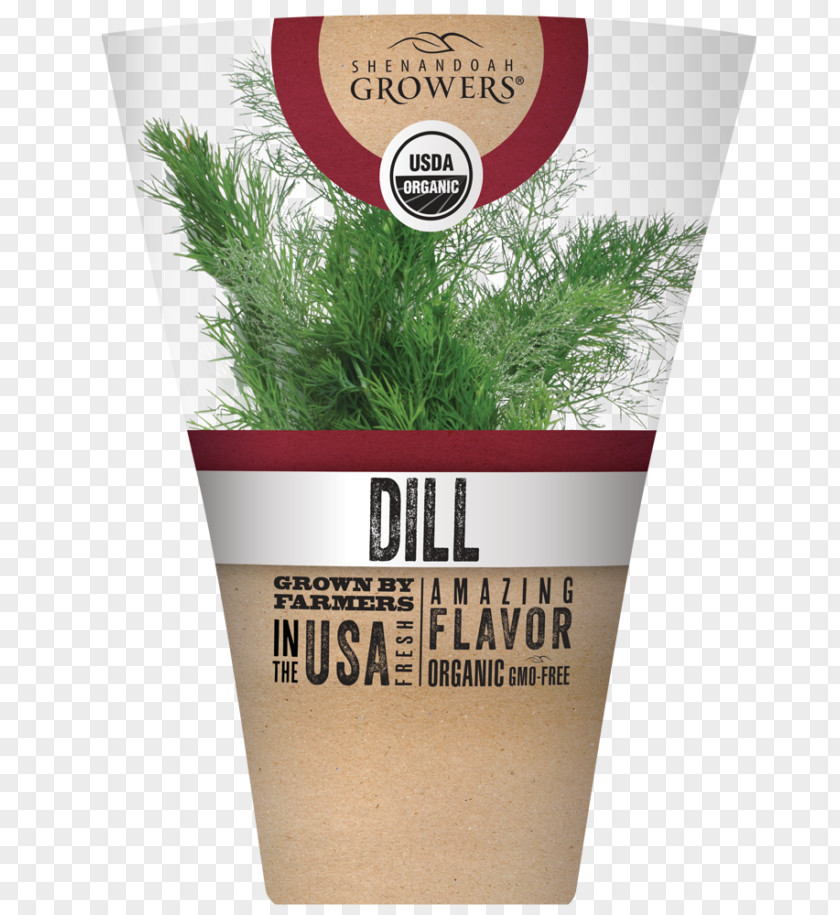 Shenandoah Growers Inc Herb Flowerpot Dill PNG