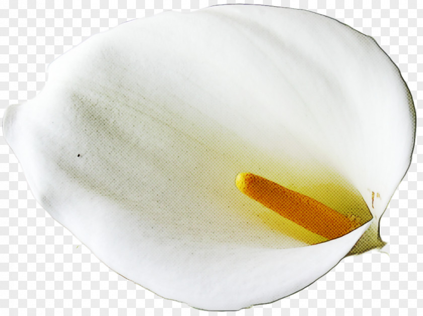 White PNG