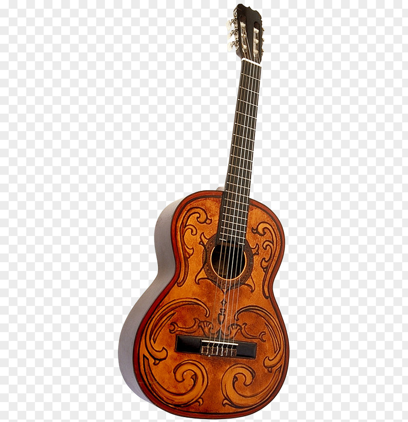 Acoustic Guitar Bass Electric Tiple Cavaquinho PNG