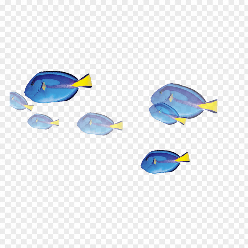 Blue Fish Download PNG