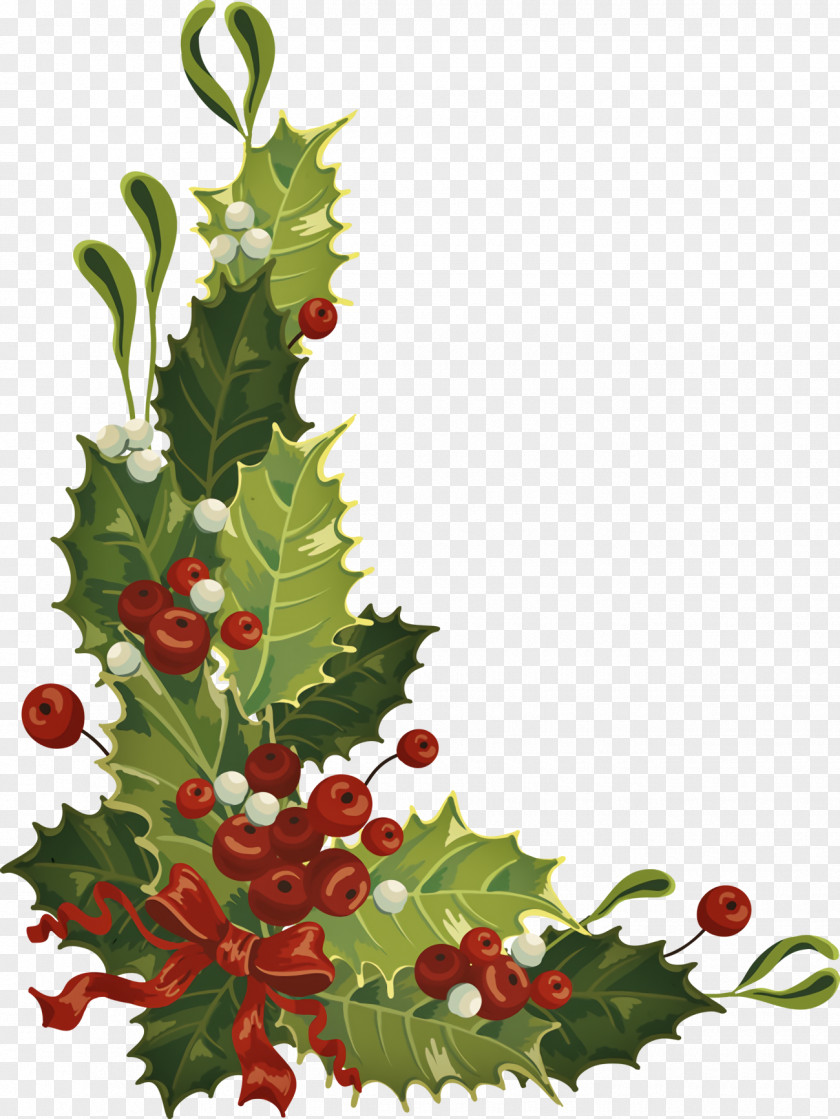 Christmas Decoration Chinese Hawthorn Holly Ilex PNG