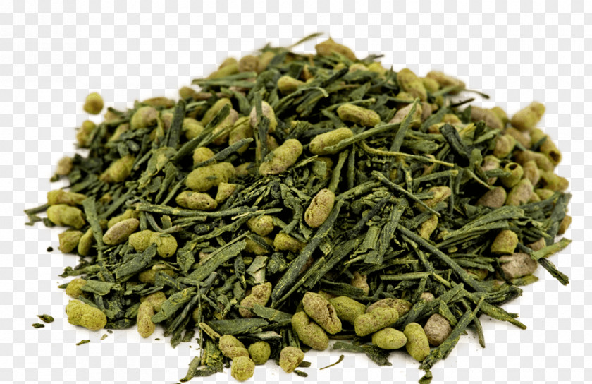 Green Tea Genmaicha Sencha Nilgiri PNG
