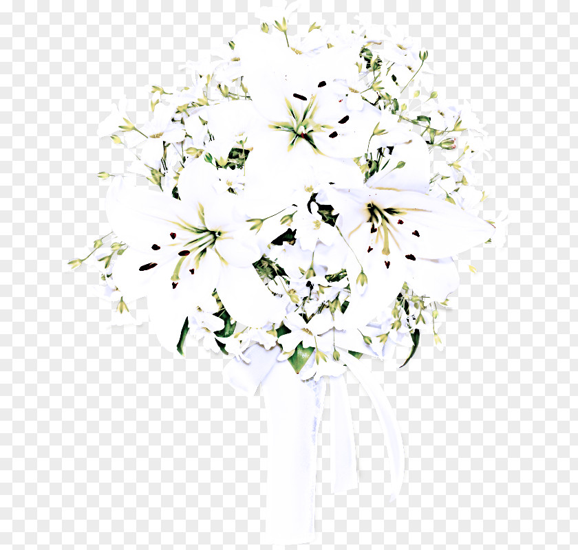 Heracleum Plant Petal White Flower Cut Flowers Bouquet PNG