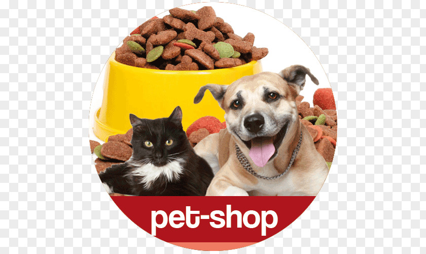 PETSHOP Dog Cat Rainbow Bridge Pet Shop PNG