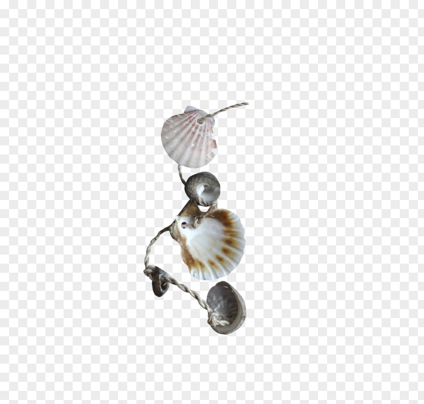 Shell Jewelry Seashell Clip Art PNG