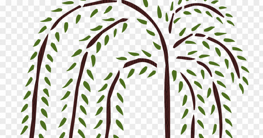 Willow Trees Tree Weeping Drawing Stencil PNG