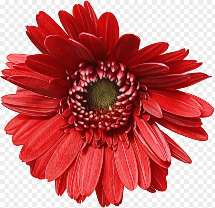 Artificial Flower Floral Design Floristry Bouquet PNG
