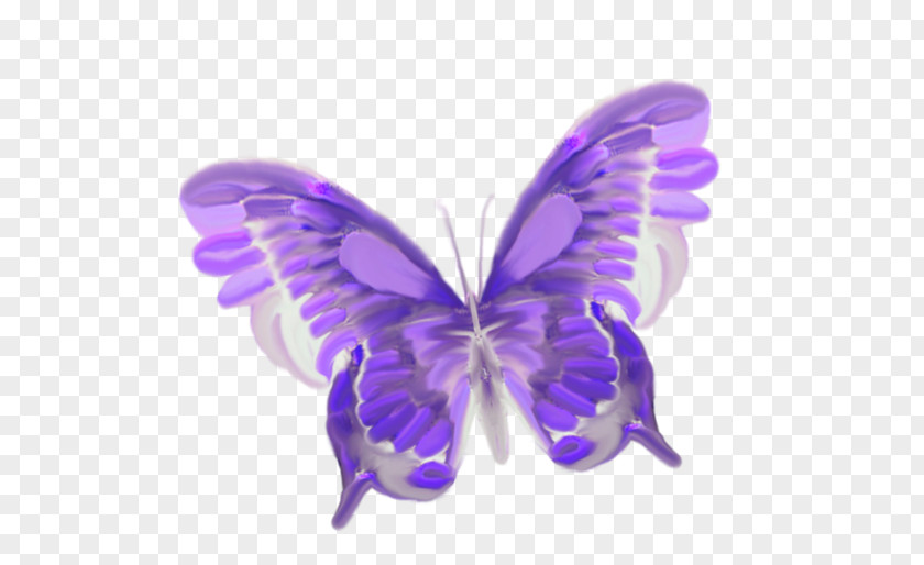 Blue Butterfly Insect Greta Oto Clip Art PNG