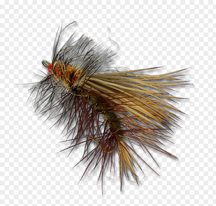 Dry Flies Insect Artificial Fly Orange S.A. Membrane PNG