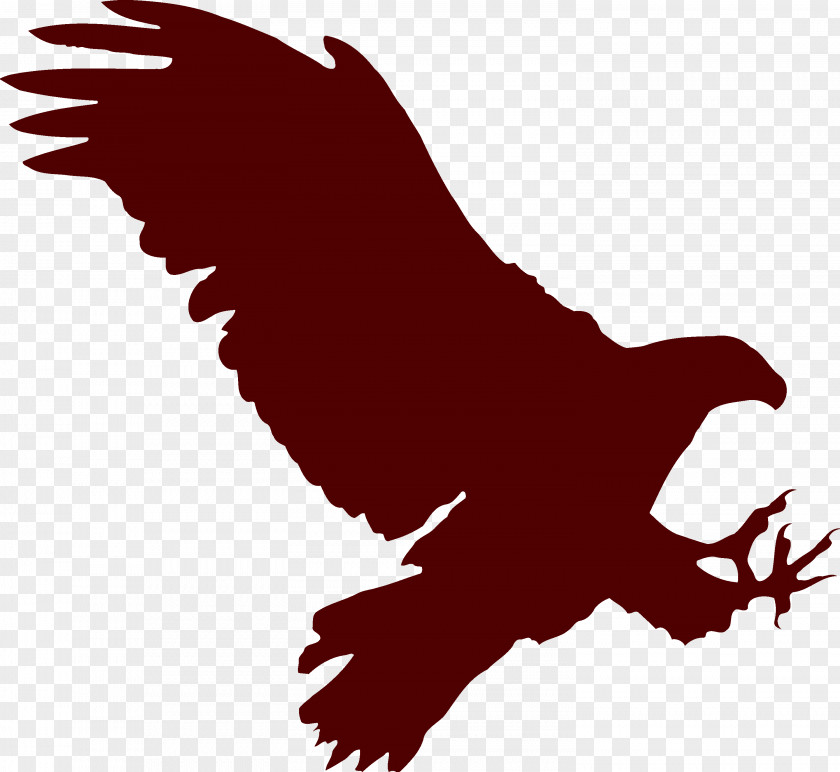 Flying Eagle Bald Paper Silhouette PNG