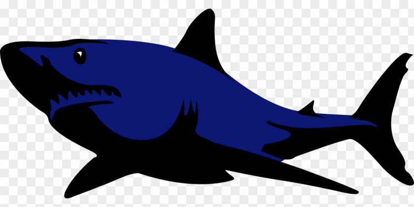 Blue Shark Clip Art PNG